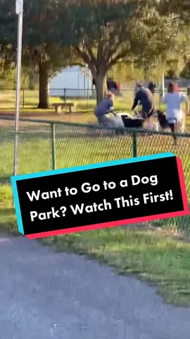 Want to Go to a Dog Park? Watch This First! #dog #puppy #dogs #dogparks #doglover #fyp 