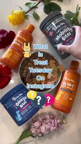Have you entered a Treat Tuesday yet? 😋 #HollysTreatTuesday #treats #dogtreats #dogfood #dogfoodtips #petnutrition #giveaway #catmom #catnutrition 