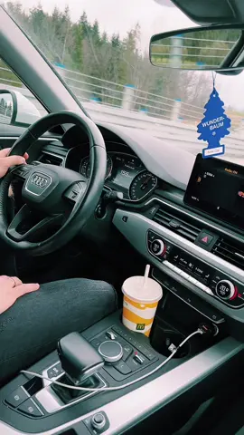 #audia4 #audisports  #audia4b9 #drive #autobahn #speedjunkies #funny #audi #audiofficial #zakopane 