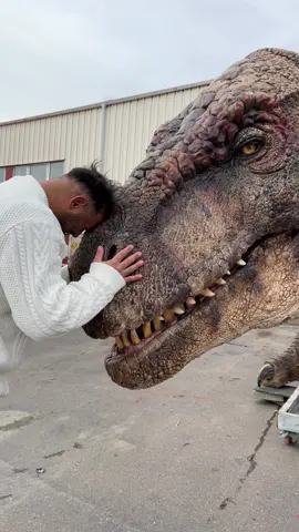 🇫🇷 Les dinosaures existent toujours 🦖😍 🇺🇸 The dinosaurs still exist 🦖😍