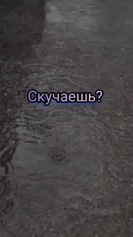 #скучаешь? #скучаешьтолькочестноответь🖇 #ятоже #дождьидёт #наулицеслякоть #плохаяпогода🌨🌧😧 #дождьнаулице 