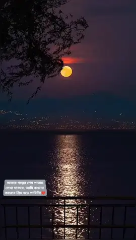  আমার গল্পের শেষ পাতায় লেখা থাকবে, আমি কখনো কারোর প্রিয় হতে পারিনি!💔 #Follow #Viral #Viral_Status #ViewNight  #MoonAtNight
