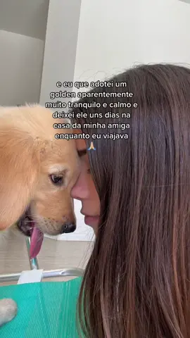 cachorro mt tranquilo graças a deus 💞