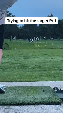 Person really said “lemme show this dude how to do it” 💀                      #golf #golftiktok #golftok #golfer #fyp #fypシ #viral #AFairShotWithBlock 