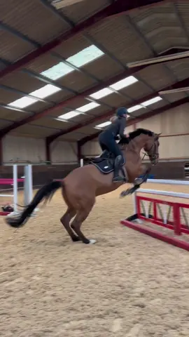 Balance, rhythm & good stride 🦄 #fyp #britishshowjumping #equestrian #poleworkforhorses #2023 