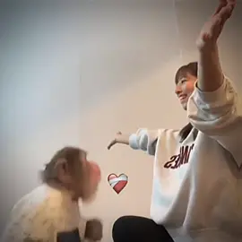 #CapCut 