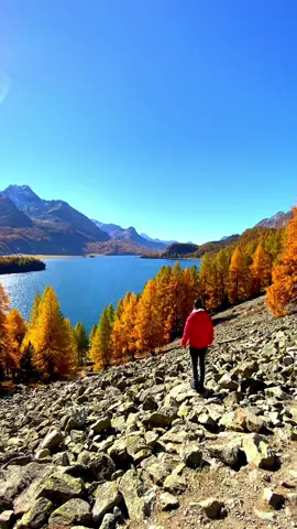 📍 Lake Sils, Switzerland 🇨🇭 Follow us for daily Swiss Content 🇨🇭 #switzerland #mountains #schweiz #swissalps #myswitzerland #grindelwald #nature #inlovewithswitzerland #swiss #alps #wanderlust #visitswitzerland #travel #suisse #landscape #naturephotography #blickheimat #lake #switzerlandpictures #swissmountains #switzerlandwonderland #switzerland_vacations #graubünden #engadinstmoritz #engadin #oberengadin #silsersee #sils #lakesils #stmoritz