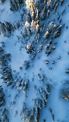 It might be spring but it is still winter in the mountains #spring #mountains #droneshot 