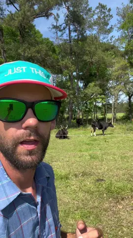 #regenerativeagriculture #cattle #ranching #texas #houston #dallas #austin #ecology 
