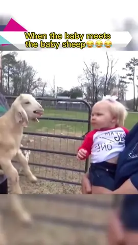 They seem to have struck up a conversation😂😂#baby#babiesoftitok#babyreacts#babycute#funnybaby#kids#foryou#funny