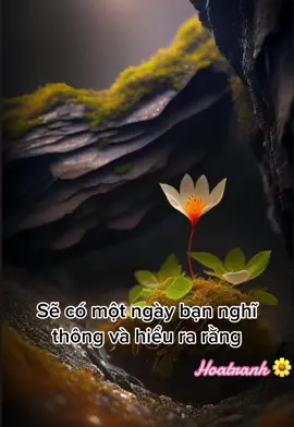 Nhớ nhé!#hoatranhshop #hoatranh0912 #caunoihaymoingay🌼 #huongnangmai🌸 #suyngam🌼 #canhdep #foryou #thinhhanh 