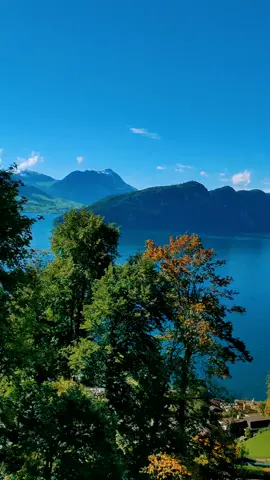 One of the most beautiful landscapes in Switzerland 🇨🇭🏔️🏡🌲 #vierwaldstättersee #rigi #swiss #switzerland #swissnature  #wonderfullandscape #view #scenery #landscape #fyp #fürdich 