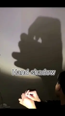 Does anyone like hand shadows？#funny #shadow #photography #light #art #naature #blackandwhite 