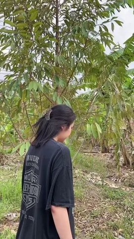 น้องเคยเว้าบ่ #Beemหมู #น้องเคยเว้าบ่อยากมีชีวิตติดหรูดูแพง 
