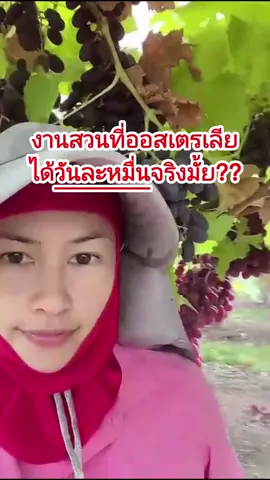 อยากทำงานที่ออส ได้รายได้วันละหมื่นต้องดูคลิปนี้! ใครกำลังจะไปออสปรึกษาเรื่องงานได้น้าา #องุ่นออสเตรเลีย #คนไทยในออสเตรเลีย #งานฟาร์มออสเตรเลีย #วีซ่าทำงาน #คนไทยในออสเตรเลีย #ครูพี่แอน