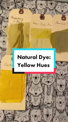 Yellow is the most common color in the world of plant dyes. These are some I’ve experimented with so far. Spring is looming closer with the promise of so many more.  #plantdye #fabricswatches #yellow #naturalpigment #naturaldye #sewingtiktok #fiberart 