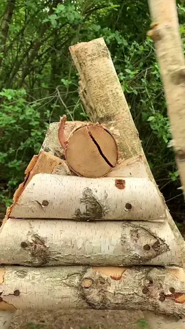 House in the forest🌲 #bushcraft  #survival  #nature  #forest 
