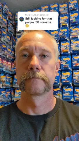 Replying to @.mr_s #cayce79cayce79 #hotwheels #hotwheelstrack #diecast #toy #toys #car #truck #chevy #chevrolet #corvette 