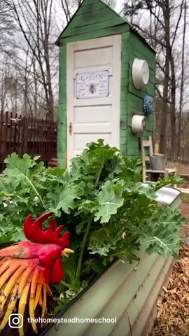 The garden isn’t finished yet but it’s so much closer than it was just a week ago. My vision is coming to life. I can hardly wait to see it filled with life this summer.  #potagergarden #cottagegarden #vegetablegarden #notillgardening #notill #ruthstoutmethod #gardening #gardenmama #gardenofmydreams #homesteadtok #gardentok 