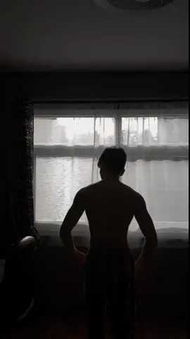 silhouette aesthetics #gym #bodybuilding #motivation #SelfImprovement 