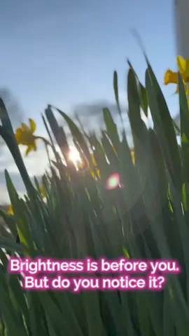 Brightness is before you… but do you notice it? I guarentee you will feel the sun’s warmth directly to your heart when you allow yourself to notice what it’s pointing at. #inspiration #inspire #inspired #Love #family #familytime #kids #MomsofTikTok #momlife #momtok #dadsoftiktok #dad #mom 
