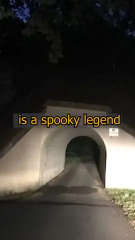 Just a legend or something else? #unsolved #mystery #spooky #scarystories #paranormal #scarytiktokvideos #scarytiktoks #fyp #hauntedtiktok #creepy #ghoststories #bunnyman #unexplained #horrortok #horrorstory 