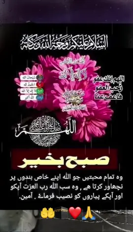 #beshaq_❤ #mashallah🕋🕋🤲🤲☝️☝️ #pageforyou_🔥viral #pageforyou_🔥trending❤️video #🤲🕋❤️🙏🇵🇰🇺🇸 