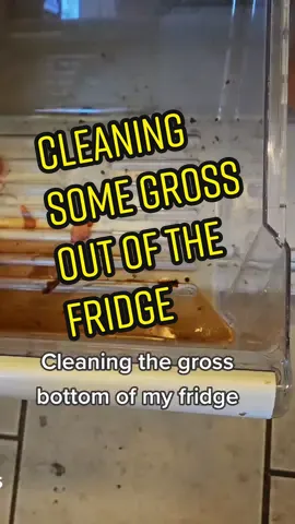 I hate how easily fridges get gross. My husband had some leftovers in the fridge that was like crab boil or something and the juices leaked and I didn't realize it went this far when I wipe off the shelf. So this was smelling foul a few days later and needed cleaned asap. #cleaningtiktok #fridgecleaning #asmr #cleaning #gross #dirty #messyhouse #clean #CleanTok #filthy 