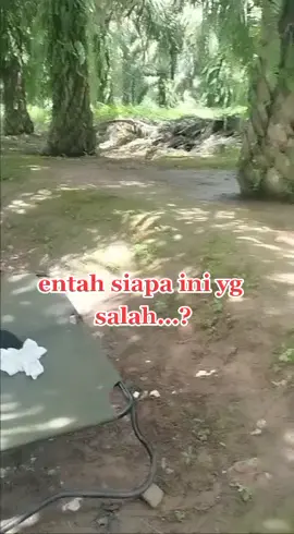 🤭🤭🤭#viral #ramadhan #puasa 