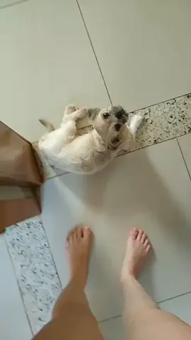 minha pancinha 🥰