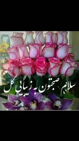 #صبح_صبح_ياعمي #موزیک 