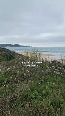 one of the most beautiful places i've seen ♡ #fyp #carmelbythesea 
