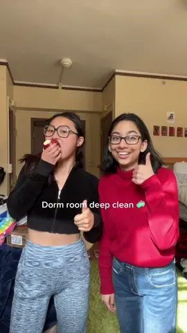 asmr goodbye to our ant infested rug