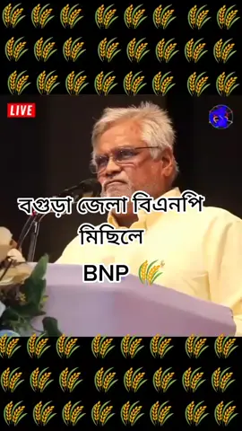 sk sumon BNP 🌾#bnp🌾🌾🌾🌾♥️🗡️ বগুড়া জেলা বিএনপি মিছিলে #তিনটা_করে_কপি_লিংক_সবাই_প্লিজ #সবাই_একটু_সাপোর্ট_করবেন_প্লিজ 