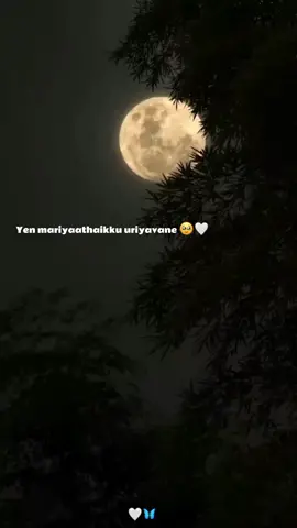 Pov : When he gains your respect 🤍 #trending #melophile #fyp #foryou #foryoupage #parthaleparavasam #neethanendesiyageetham #madhavan #chocolateboy #sneha #punnagaiarasi #arrahman #arr #kschithra #balram #tamilsong #tamilbgm #bgm #tamiltiktok #fyppppppppppppppppppppppp 