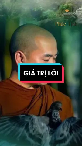 Hai lõi trong cuộc đời mỗi người #thiensuminhniem #thiensu #thayminhniem #phatphap #podcastphuctinh 