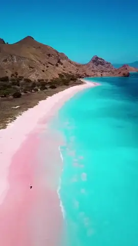 Anything is possible, with sunshine and pink sand ;) 📍Pink Sands Beach, Bahamas Follow @scenic.wanderlust #pinkbeach #bahamastiktok #pinksandbeach #pinksand #traveltiktok #travelwishlist #vacation #scenicview #scenic #scenery 