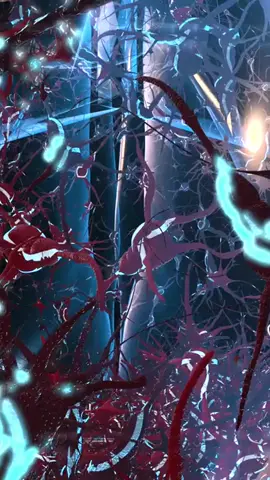 Why can't nerve cells renew themselves? #biology #neurology #science #brain #health  #nerve 
