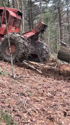 #timberjack240 #winchwork #562xp #hoffmanboots #loggerlife #loggertok