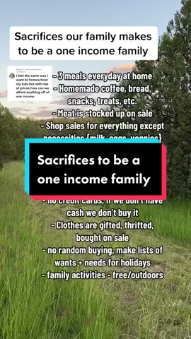 Replying to @adriannashank its not easy! Its a sacrifice every single day. As my husband says these days we are surviving not thriving 🤪 we sacrifice a lot to have as much time with our kids as possible and its been SO worth it for us. Little purchases add up really quick, its really a mindset change and being content with not living a luxurious life. #homeschool #sahmlife #mountainliving #homeschoolmom #outdoorfun #outdoorfamily #homestead #homeschoolersoftiktok #rvlifestyle 