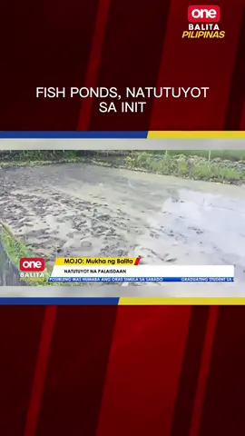 Hanap-buhay ng mga mangingisda sa #Mindanao, apektado narin ng matinding init #oneph #newsph #SocialNewsPH #fishpond #fisherman #Summer #heatwave 