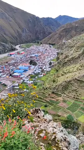 #ichuña_moquegua_perú✨💚  #moquegua_ichuña  #Distritoichuña💝  