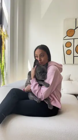 ❤️ #MyDolceMoment #dogsoftiktokviral #frenchiesoftiktok #PetsOfTikTok #fyp 