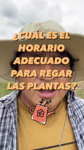 ¿Cuál es el momento ideal para regar nuestras plantitas?  Si algo no te quedó claro o tienes alguna pregunta, escríbela en los comentarios y con gusto te responderemos 💚🌱✅  #plantas #huertourbano #riego #zumbayllu #organic #plant #organico #jardin 