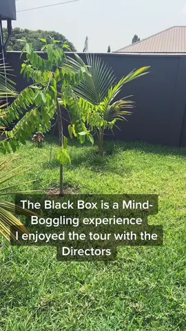 #Blackbox#Tamale#@Blackbox#akayethotelbolgatanga #Blackboxtamale 