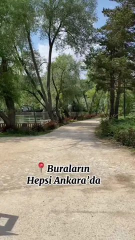 Ankarada doğayla iç içe olabileceğiniz Konumlar ❤️ #ankara #doğa #süvariköprüsü #uyuzsuyuşelalesi #çubuk 