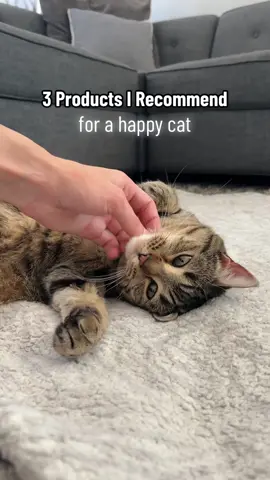 3 Products I Recommend For A Happy Cat 🐾 #catproducts #catadvice #catsoftiktok #tabbycats #catproductstheylove 