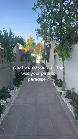#whatwouldyoudo? #MyDolceMoment #fyp #4u #puertorico🇵🇷 #paradise #beachlife❤️❤️ #2023vacation🏖️🏝️ 