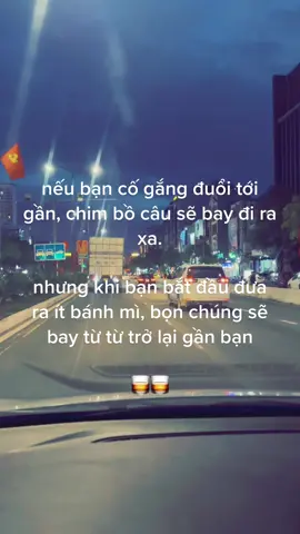 bồ câu #fy #fyp 