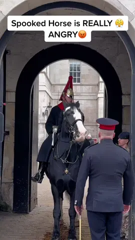 Spooked Horse is REALLY 😤 ANGRY😡  #foryou #horseguardsparade #king #guards #foryoupage #foryourpage #viral #trending #uk #London #horse #horseriding #animals 